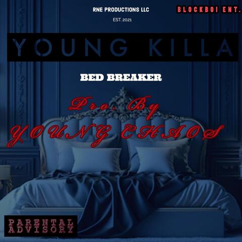 BED BREAKER