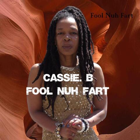 Fool Nah Fart