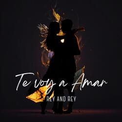 Te Voy a Amar