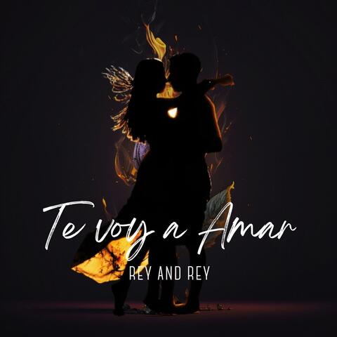Te Voy a Amar