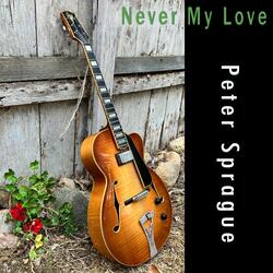 Can’t Help Falling in Love