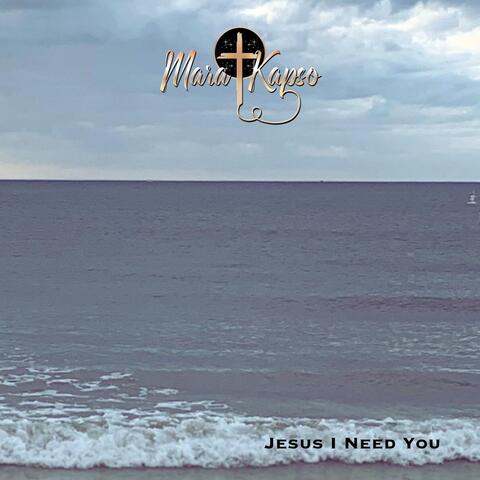 Jesus I Need You
