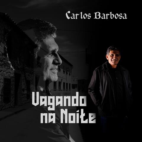 Vagando Na Noite