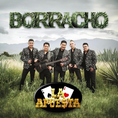Borracho