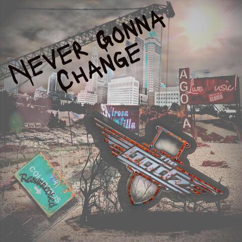 Never Gonna Change