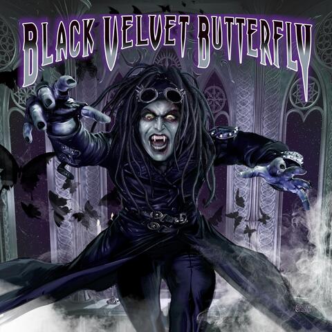 Black Velvet Butterfly