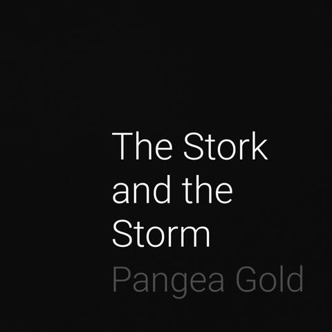 The Stork and the Storm