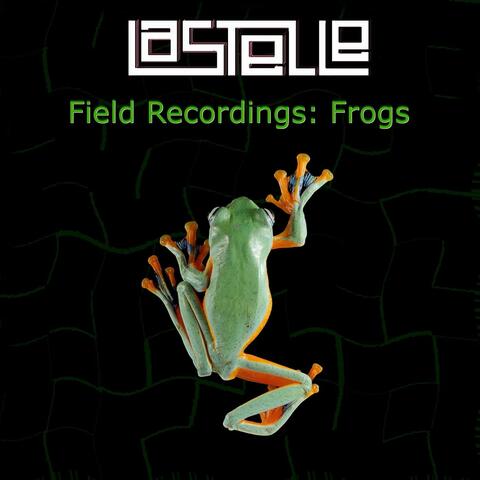 Field Recordings: Frogs