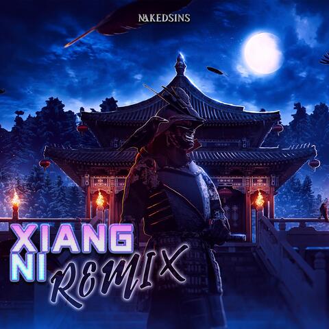 Xiang Ni (Remix)