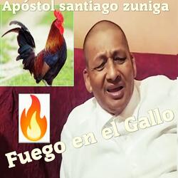 Fuego En El Gallo