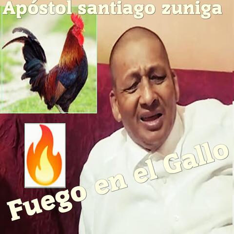 Fuego En El Gallo