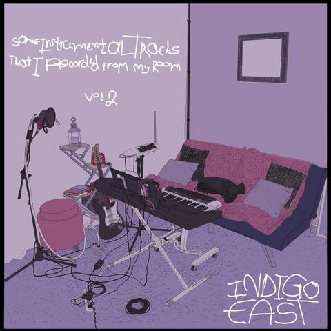 Some Instrumental Tracks That I Recorded from My Room, Vol. 2