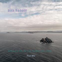 Whalesong in the North Atlantic: Pod Mix