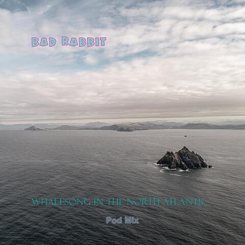 Whalesong in the North Atlantic: Pod Mix