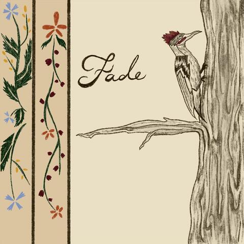 Fade