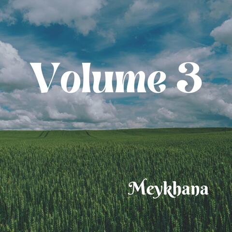 Vol. 3