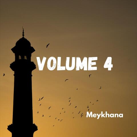 Volume 4