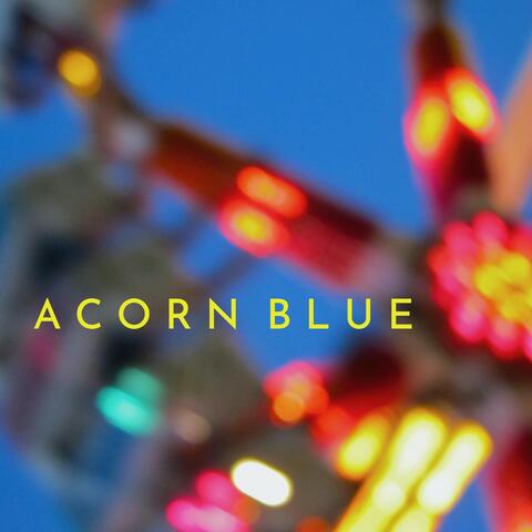 Acorn Blue