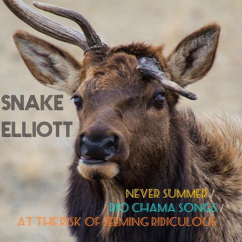 Never Summer / Rio Chama Songs / At the Risk of Seeming Ridiculous