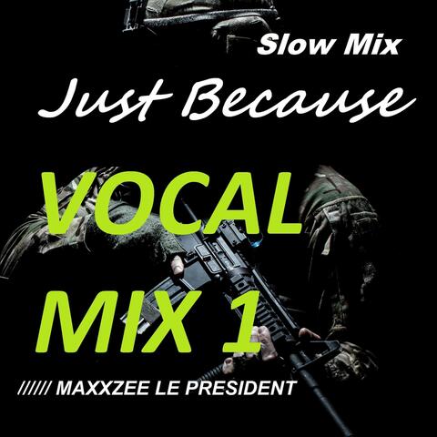 Just Because (Vocal Mix 1) [Slow Remix]