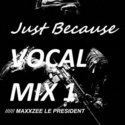 Just Because (Vocal Mix 1)