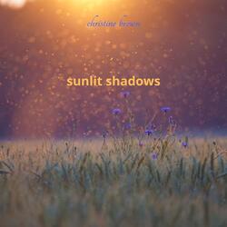 Sunlit Shadows