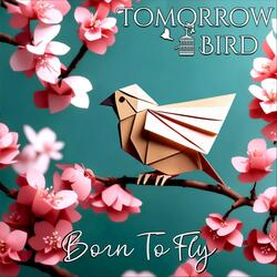 Born To Fly