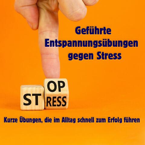 Geführte Entspannungsübungen gegen Stress - Kurze Übungen, die im Alltag schnell zum Erfolg führen