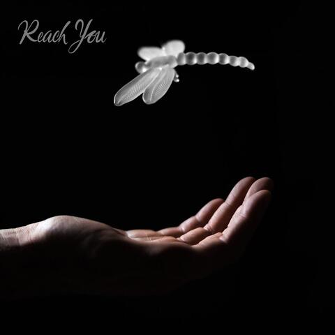 Reach You