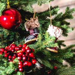Merry Christmas Everyone