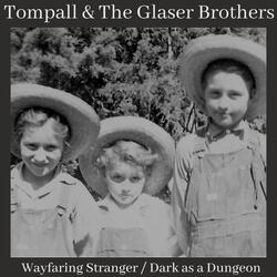 Wayfaring Stranger (Live)