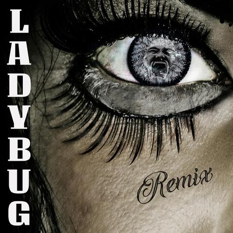 Lady Bug Remix