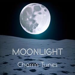 Moonlight (Acoustic Version)