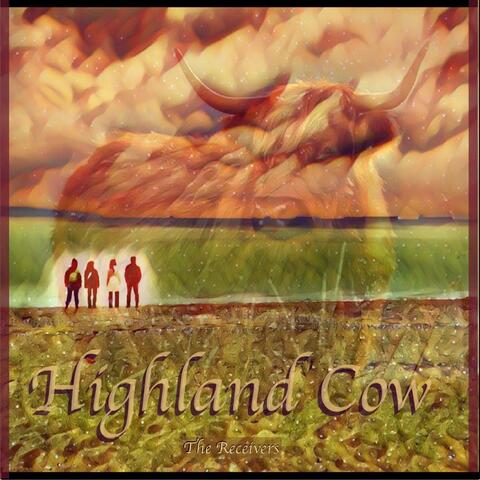 Highland Cow