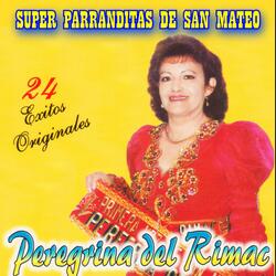 No Te Alejes / Aquella Pampa / Súplica De Amor