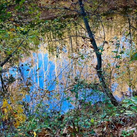 One River