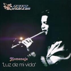 Luz de Mi Vida