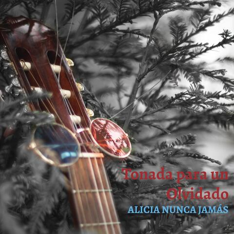 Tonada para un Olvidado