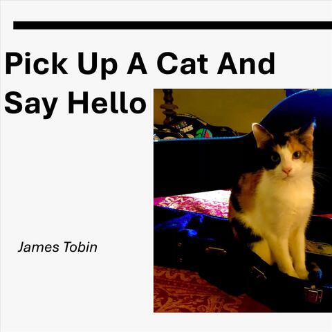 Pick up a Cat and Say Hello