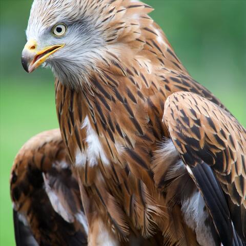 The Big Picture / Time & Place (Remastered 2023)