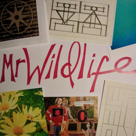 We Share The Stars/Animal Kingdom-Remastered