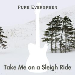 Take Me on a Sleigh Ride