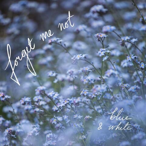 Forget Me Not