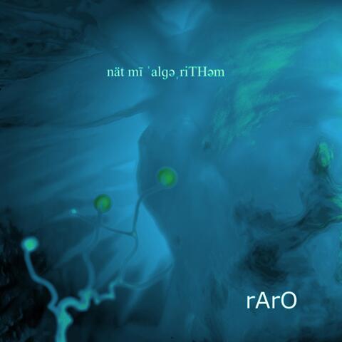 nät mī ˈalɡəˌrit͟həm