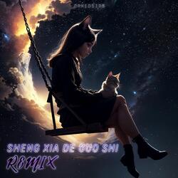 Sheng Xia De Guo Shi (Remix)