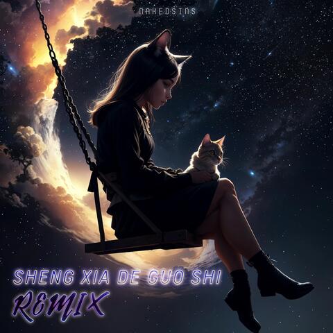 Sheng Xia De Guo Shi (Remix)