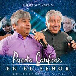 Divino Compañero (En Vivo)