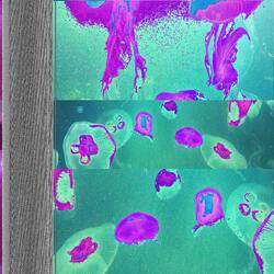 Slightly Past Reality