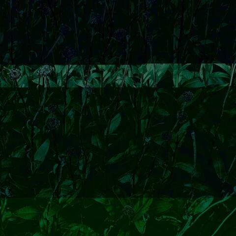 It All Fades Away