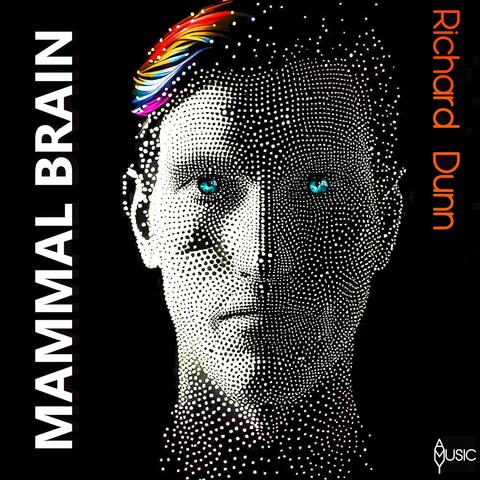Mammal Brain
